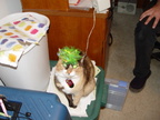 DSC00468