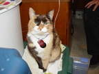 DSC00472