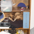 DSC01847