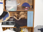 DSC01847