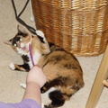DSC02761