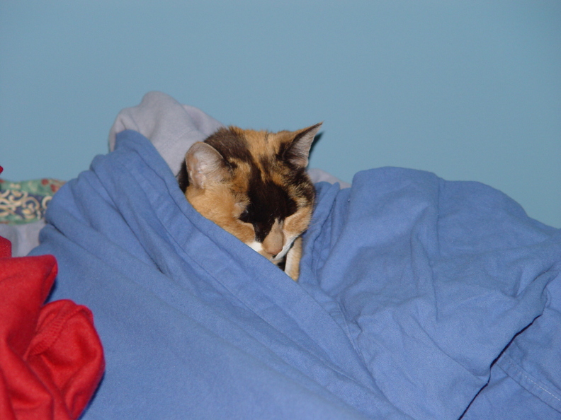 DSC03341.JPG