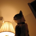 IMG-0076