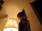 IMG-0076
