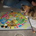 IMG-0192