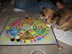 IMG-0192