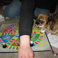 IMG-0193