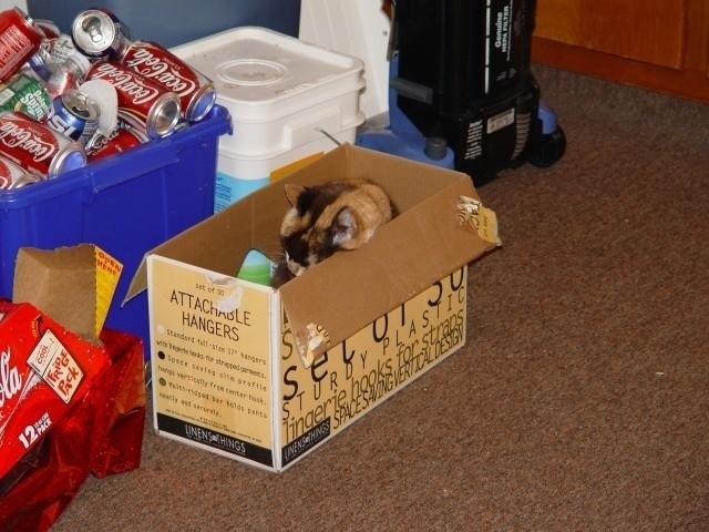 DSC00685.jpg