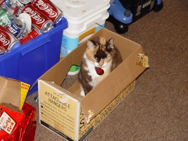 DSC00687.jpg
