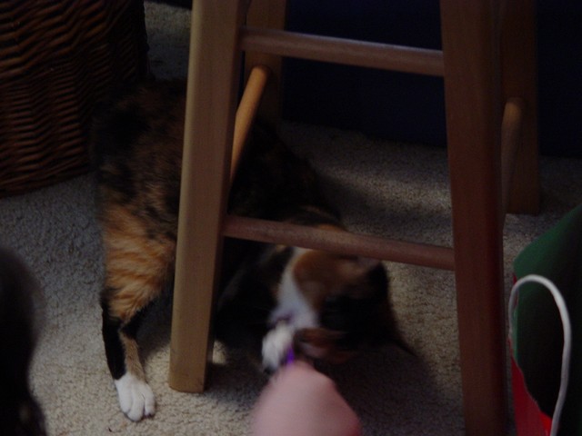 DSC02765.jpg